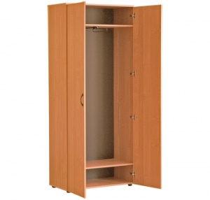 Шкаф для одежды "Директор" 45