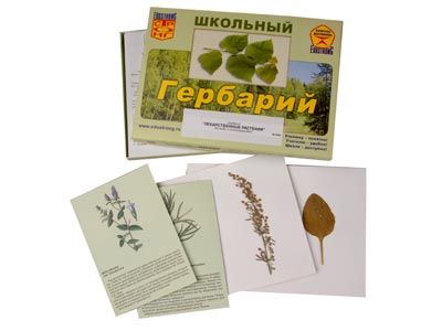 Гербарий Лекарственные растения (22 вида, с иллюстрациями)