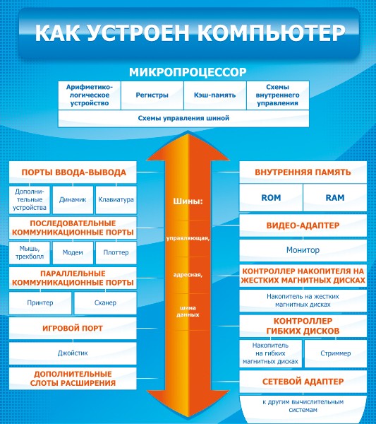 Стенд "Как устроен компьютер" ШК-1002