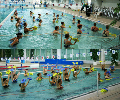 АКВАДИСКИ FLOWER