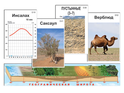 Модель-аппликация Природные зоны (ламинированная)
